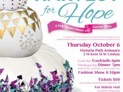 Harvest for Hope Fashion Show will benefit breast health care at RMH Harvest for Hope Fashion Show will benefit breast health care at RMH
